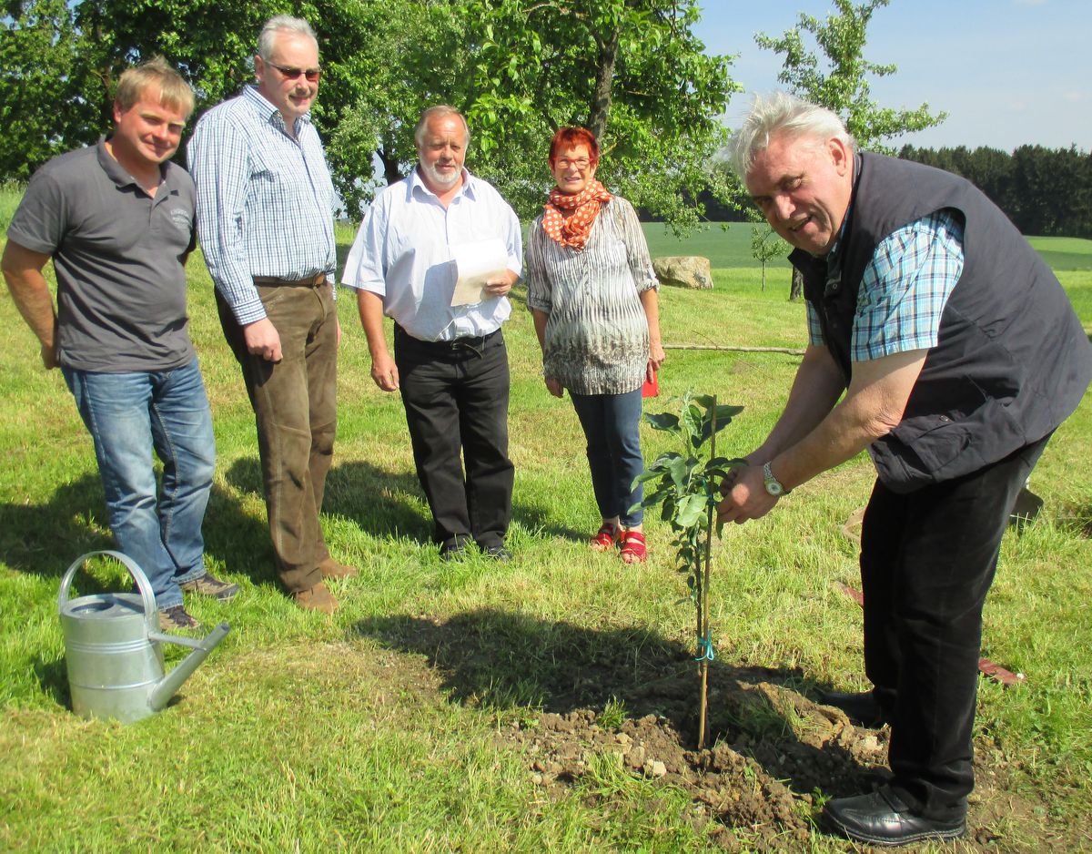 1505 sem schirmherrnbitten